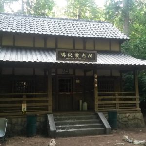 Forest-6 Forest-6